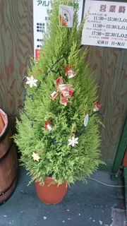 20141112145434649.jpg